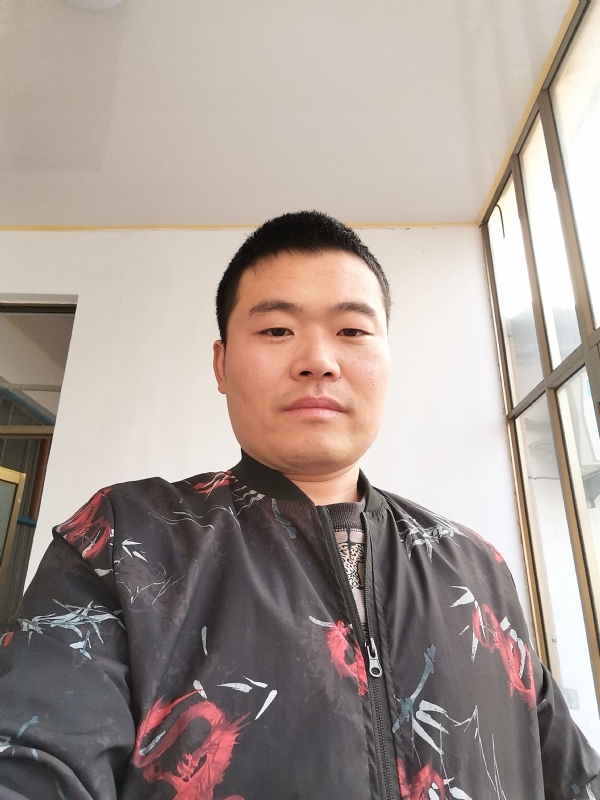 会飞的猪的第一张照片--福州交友网