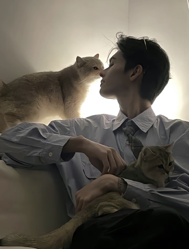 怪猫的第一张照片--福州交友网
